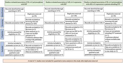 Association of parental HLA-G polymorphisms with soluble HLA-G expressions and their roles on recurrent implantation failure: A systematic review and meta-analysis