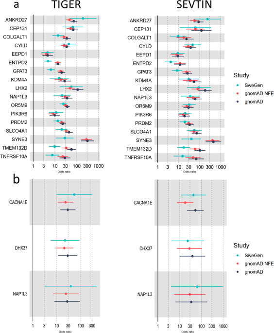 Using coding and non-coding rare variants to target candidate genes in patients with severe tinnitus