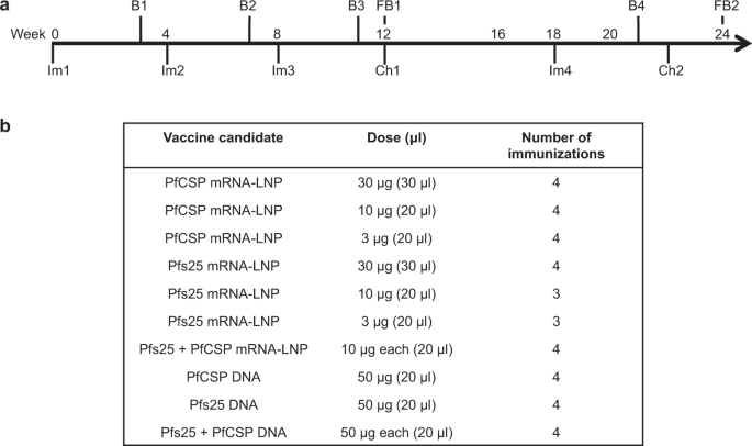 mRNA-LNP expressing PfCSP and Pfs25 vaccine candidates targeting infection and transmission of Plasmodium falciparum