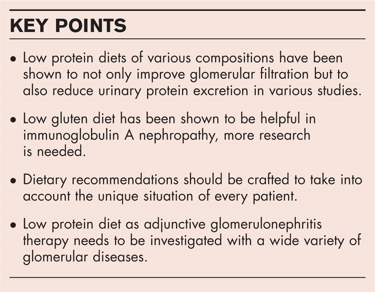 New and old approaches to nutritional management of acute and chronic glomerulonephritis