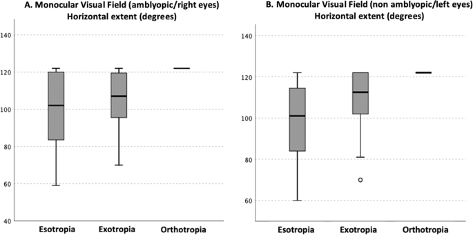 Binocular visual field in adults with horizontal strabismus and driving requirements