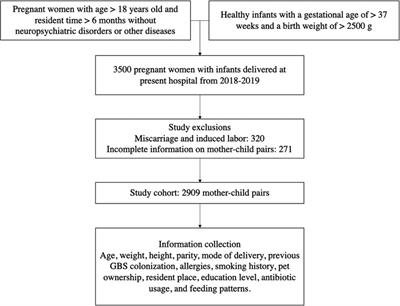 Study on the relationship between intrapartum group B streptococcus prophylaxis and food allergy in children