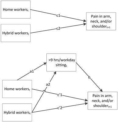 The mediating role of physical activity and sedentary behavior in the association between working from home and musculoskeletal pain during the COVID-19 pandemic
