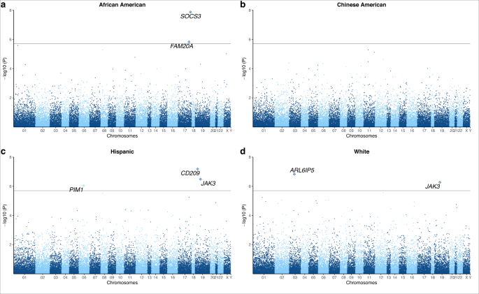 Gene expression associations with body mass index in the Multi-Ethnic Study of Atherosclerosis