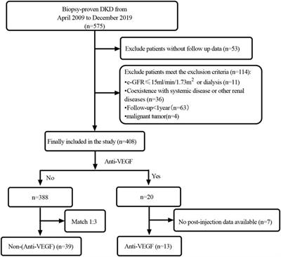 Intravitreal vascular endothelial growth factor inhibitors did not increase the risk of end-stage renal disease in patients with biopsy-proven diabetic kidney disease based on matched study