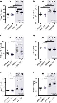 Deletion of classical transient receptor potential 1, 3 and 6 alters pulmonary vasoconstriction in chronic hypoxia-induced pulmonary hypertension in mice