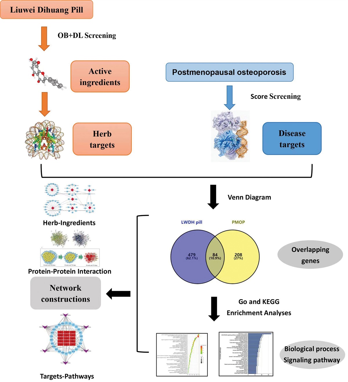 Network pharmacology-based strategy to investigate pharmacological mechanism of Liuwei Dihuang Pill against postmenopausal osteoporosis