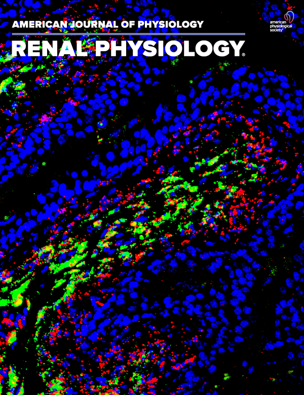 Epoxyeicosatrienoic Acid administration or Soluble Epoxide Hydrolase inhibition attenuates renal fibrogenesis in obstructive nephropathy