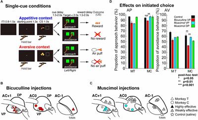 Impulsive and compulsive behaviors can be induced by opposite GABAergic dysfunctions inside the primate ventral pallidum
