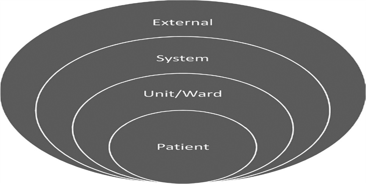 Describing the Value of Physical Therapy in a Complex System Using the Socio-Ecological Model