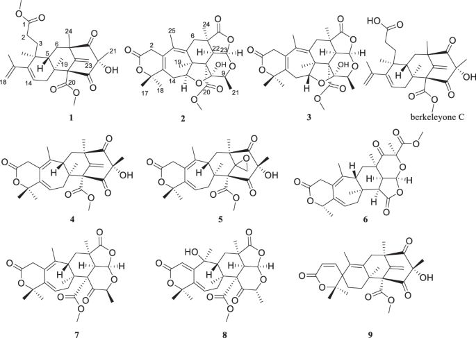 New meroterpenoids from a soil-derived fungus Penicillium sp. SSW03M2 GY and their anti-virulence activity