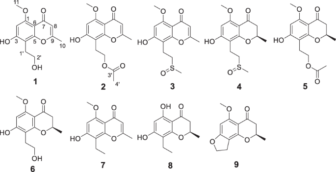 Four new chromone derivatives from the Arctic fungus Phoma muscivora CPCC 401424 and their antiviral activities