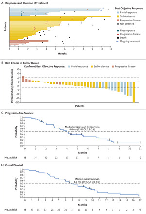 Sotorasib in KRAS p.G12C–Mutated Advanced Pancreatic Cancer