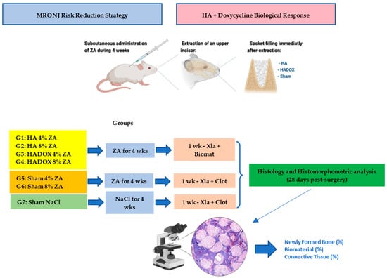 Medicina, Vol. 59, Pages 46: The Use of Hydroxyapatite Loaded with Doxycycline (HADOX) in Dentoalveolar Surgery as a Risk-Reduction Therapeutic Protocol in Subjects Treated with Different Bisphosphonate Dosages