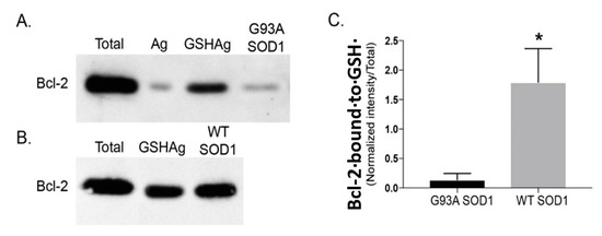 Biomedicines, Vol. 11, Pages 61: The 2-Oxoglutarate Carrier Is S-Nitrosylated in the Spinal Cord of G93A Mutant hSOD1 Mice Resulting in Disruption of Mitochondrial Glutathione Transport
