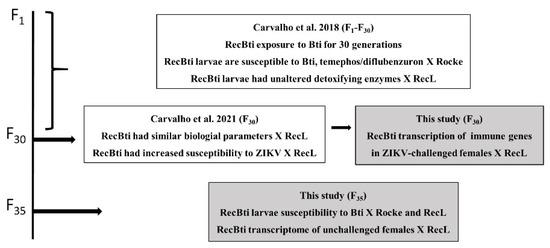 Viruses, Vol. 15, Pages 72: Aedes aegypti Strain Subjected to Long-Term Exposure to Bacillus thuringiensis svar. israelensis Larvicides Displays an Altered Transcriptional Response to Zika Virus Infection