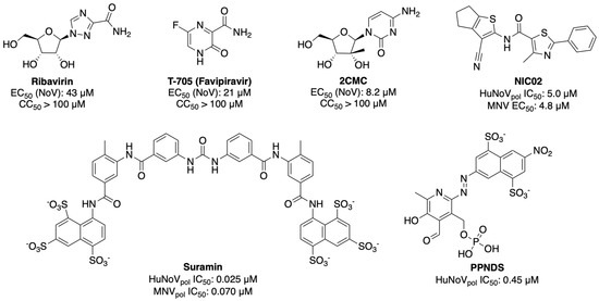 Viruses, Vol. 15, Pages 74: Structural Investigations on Novel Non-Nucleoside Inhibitors of Human Norovirus Polymerase