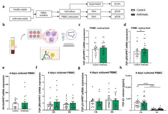 Cells, Vol. 12, Pages 129: Rhinovirus Suppresses TGF-β-GARP Presentation by Peripheral NK Cells