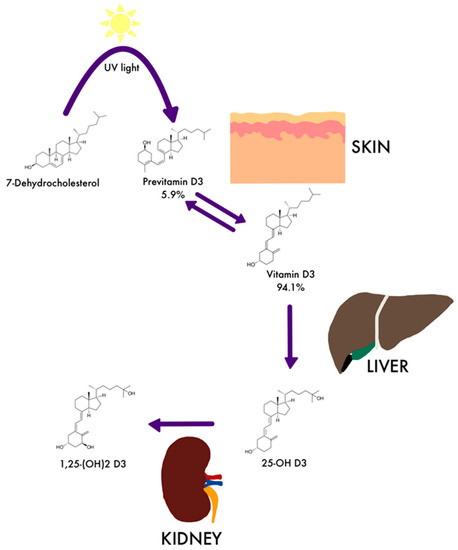 Medicina, Vol. 59, Pages 68: Vitamin D Deficiency in Both Oral and Systemic Manifestations in SARS-CoV-2 Infection: Updated Review