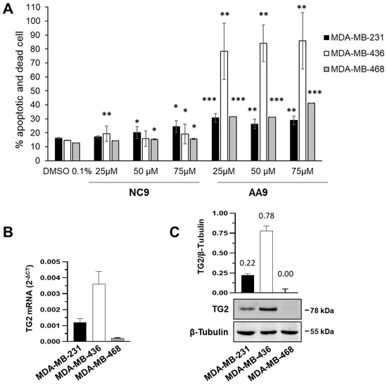 Cancers, Vol. 15, Pages 178: A Multidisciplinary Approach Establishes a Link between Transglutaminase 2 and the Kv10.1 Voltage-Dependent K+ Channel in Breast Cancer