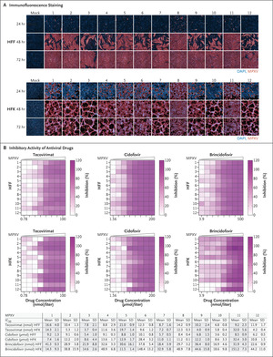 Drug Sensitivity of Currently Circulating Mpox Viruses