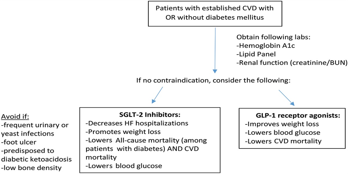 Novel Therapeutics for Type 2 Diabetes, Obesity, and Heart Failure: A REVIEW AND PRACTICAL RECOMMENDATIONS FOR CARDIAC REHABILITATION
