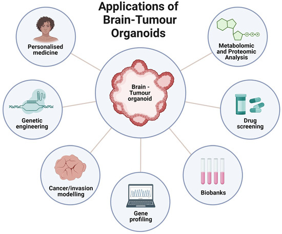 Cells, Vol. 12, Pages 153: Utility of the Cerebral Organoid Glioma ‘GLICO’ Model for Screening Applications