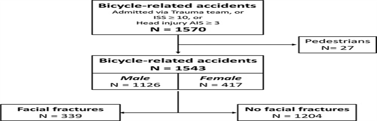 Facial Fractures and Their Relation to Head and Cervical Spine Injuries in Hospitalized Bicyclists