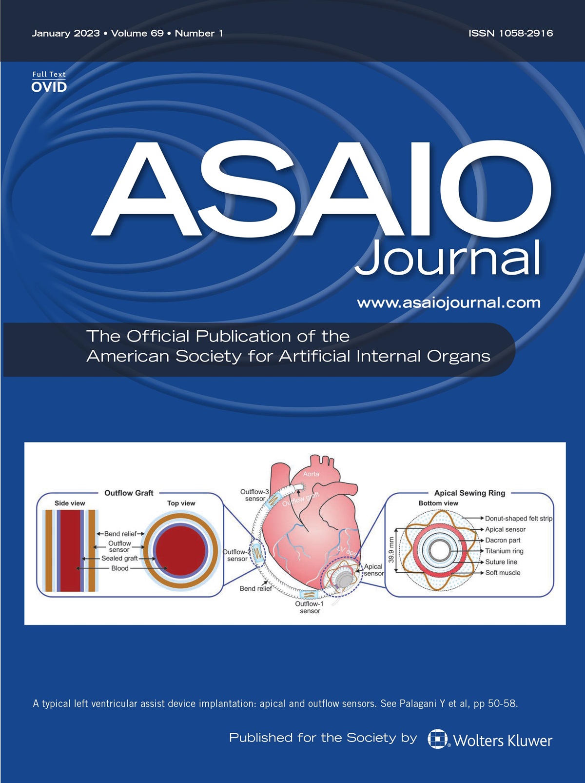 Toward a Self-Actuating Continuous Flow Ventricular Assist Device: The Pudding Is in the Proof