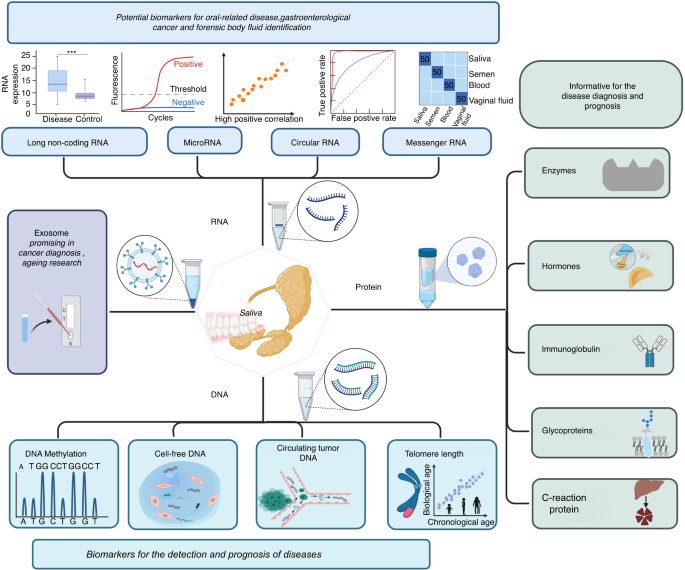 Promising applications of human-derived saliva biomarker testing in clinical diagnostics