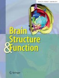 The role of the angular gyrus in arithmetic processing: a literature review