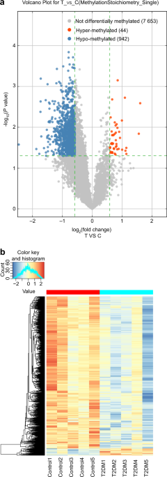 Specific RNA m6A modification sites in bone marrow mesenchymal stem cells from the jawbone marrow of type 2 diabetes patients with dental implant failure