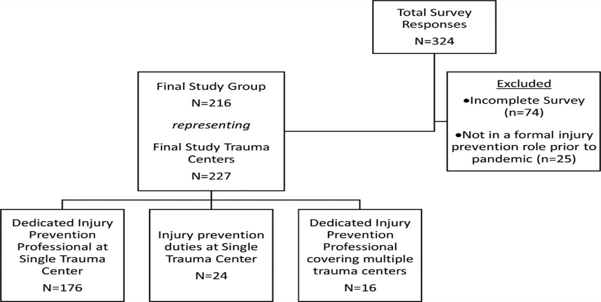 Impact of COVID-19 on U.S. Hospital-Based Injury Prevention Professionals: A National Survey
