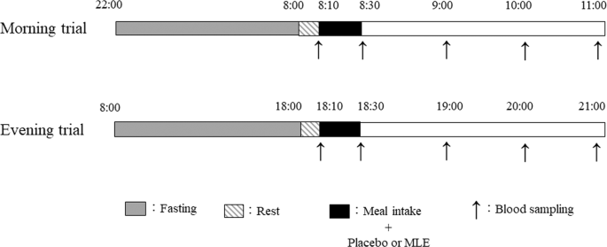 Effects of the timing of acute mulberry leaf extract intake on postprandial glucose metabolism in healthy adults: a randomised, placebo-controlled, double-blind study