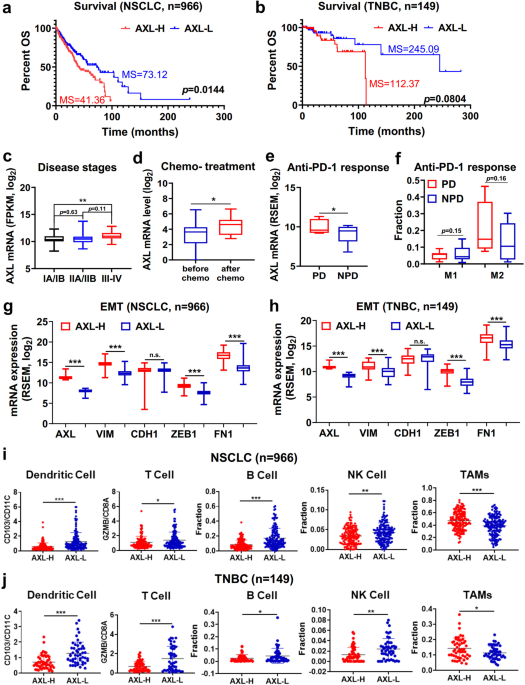 AXL antibody and AXL-ADC mediate antitumor efficacy via targeting AXL in tumor-intrinsic epithelial-mesenchymal transition and tumor-associated M2-like macrophage