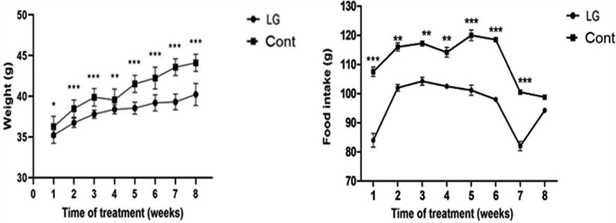 Hypoglycemic drug liraglutide alleviates low muscle mass by inhibiting the expression of MuRF1 and MAFbx in diabetic muscle atrophy