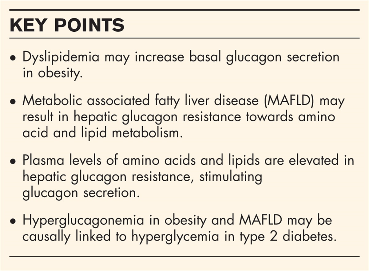 The feedback cycles between glucose, amino acids and lipids and alpha cell secretion and their role in metabolic fatty liver disease