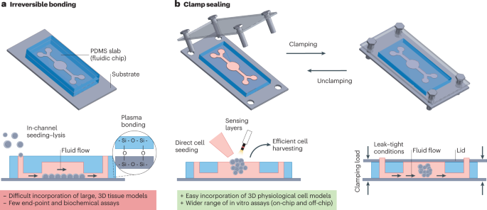 Clamping strategies for organ-on-a-chip devices