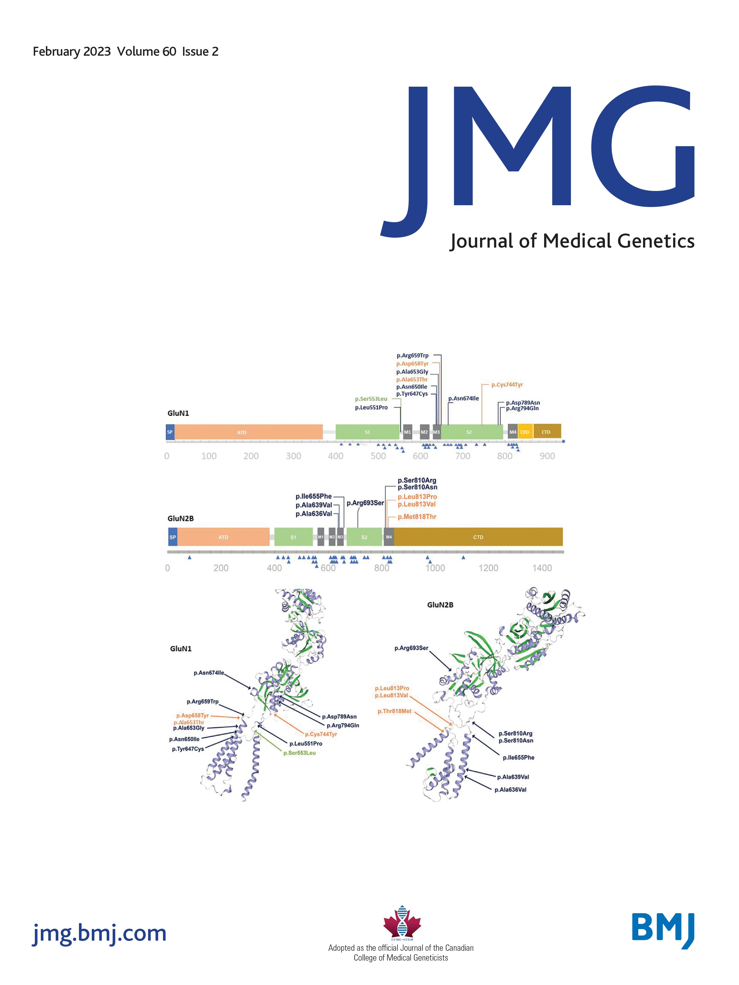 Maternal versus paternal inheritance of a 132 bp 11p15.5 microdeletion affecting KCNQ1OT1 and associated phenotypes