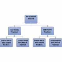 ﻿Production of rare cycloartane saponins from Astragalus thracicus (Griseb) compared to Astragalus membranaceus (Fisch.) Bunge – native and biotechnological sources