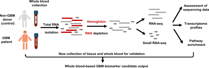 Transcriptomic analyses of patient peripheral blood with hemoglobin depletion reveal glioblastoma biomarkers
