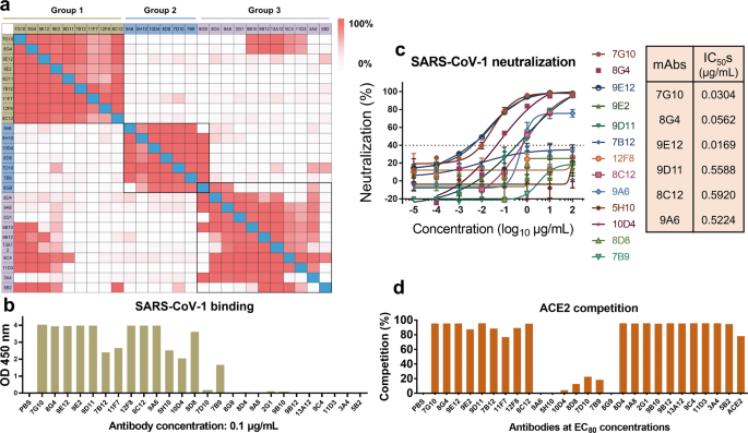 Long-term passaging of pseudo-typed SARS-CoV-2 reveals the breadth of monoclonal and bispecific antibody cocktails