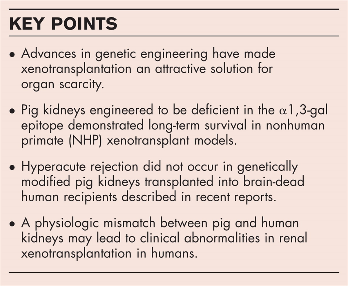 Physiologic considerations of pig-to-human kidney xenotransplantation
