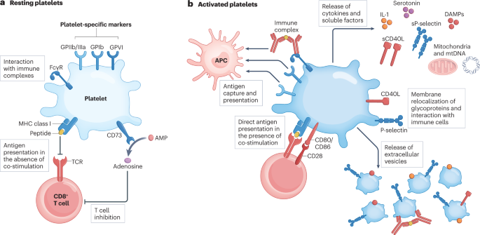 The role of platelets in immune-mediated inflammatory diseases