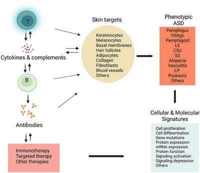 Editorial: Mechanism and therapy of autoimmune skin diseases