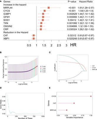 A novel prognostic model related to oxidative stress for treatment prediction in lung adenocarcinoma