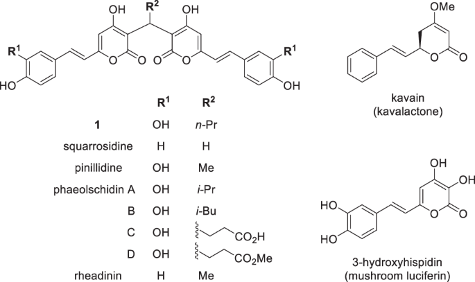 Phaeolschidin F, a new symmetrical bis(styrylpyrone) derivative with redox-catalyzing activity from the mushroom Gymnopilus aeruginosus (order Agaricales)