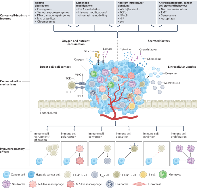 Mechanisms driving the immunoregulatory function of cancer cells