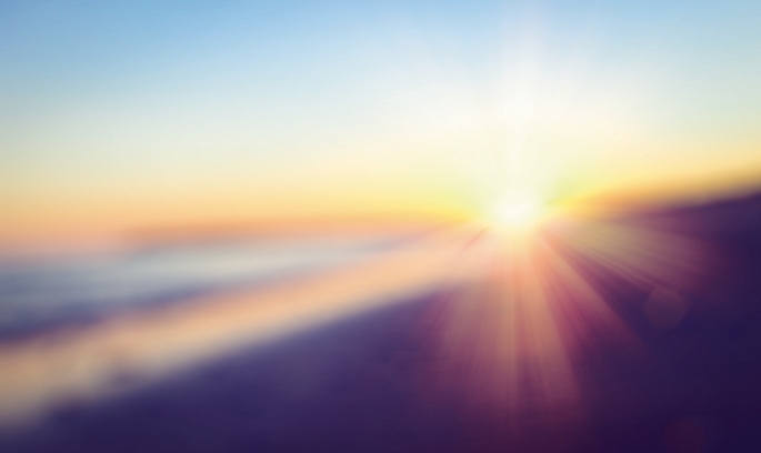 Light dampens metabolism