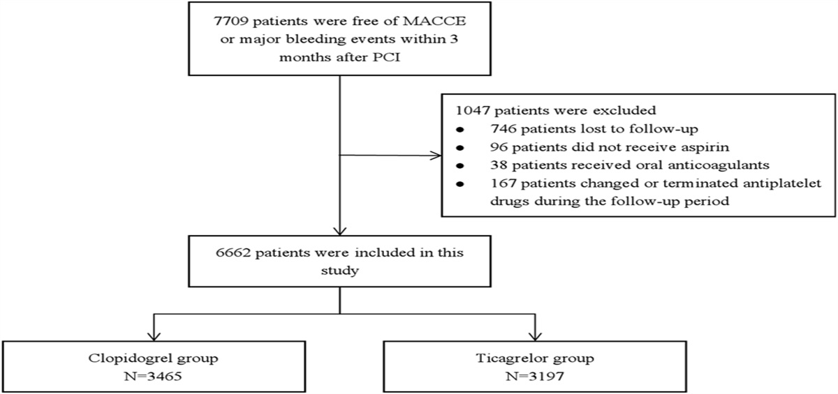 Efficacy and Safety of Clopidogrel Versus Ticagrelor for Stabilized Patients With Acute Coronary Syndromes After Percutaneous Coronary Intervention: Results From a Real-World Registry in China